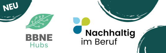 Logo BBNE-Hubs NIB
